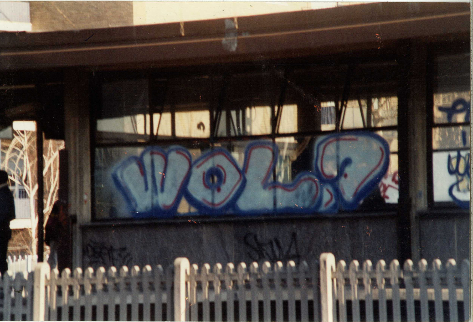 WOL CIMIANO 1995